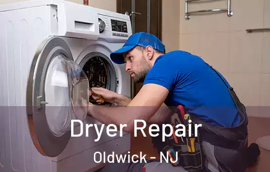  Dryer Repair Oldwick - NJ