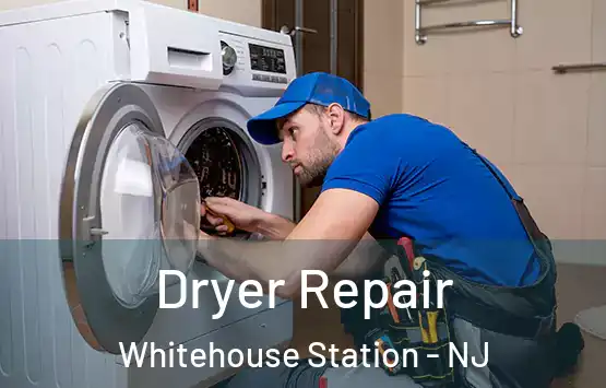 Dryer Repair Whitehouse Station - NJ