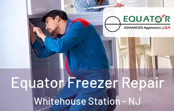  Equator Freezer Repair Whitehouse Station - NJ