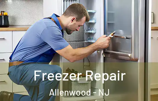  Freezer Repair Allenwood - NJ