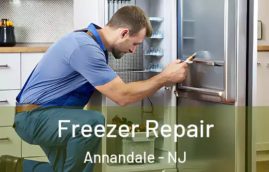  Freezer Repair Annandale - NJ