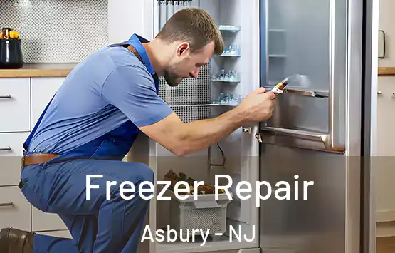  Freezer Repair Asbury - NJ