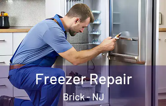  Freezer Repair Brick - NJ