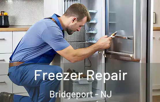 Freezer Repair Bridgeport - NJ
