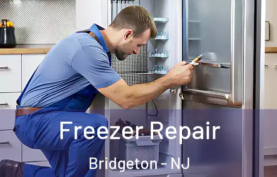  Freezer Repair Bridgeton - NJ