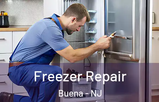  Freezer Repair Buena - NJ