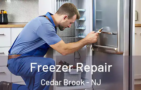  Freezer Repair Cedar Brook - NJ