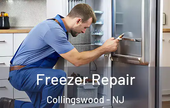  Freezer Repair Collingswood - NJ