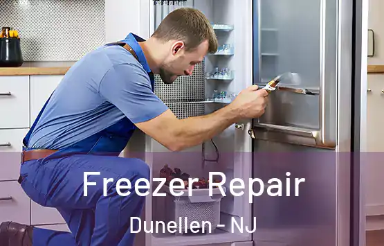  Freezer Repair Dunellen - NJ