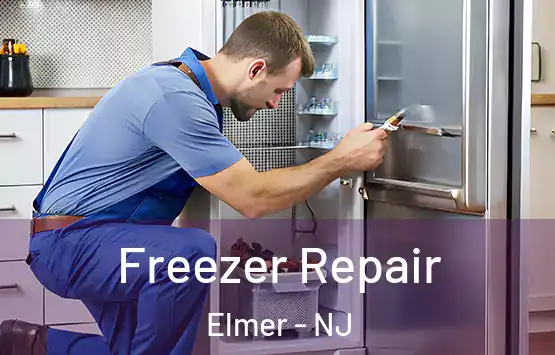  Freezer Repair Elmer - NJ