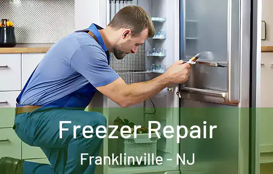  Freezer Repair Franklinville - NJ