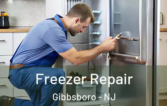  Freezer Repair Gibbsboro - NJ