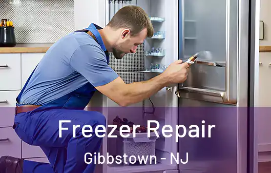  Freezer Repair Gibbstown - NJ
