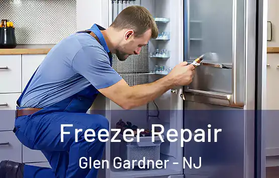  Freezer Repair Glen Gardner - NJ