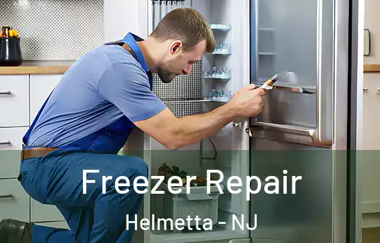  Freezer Repair Helmetta - NJ