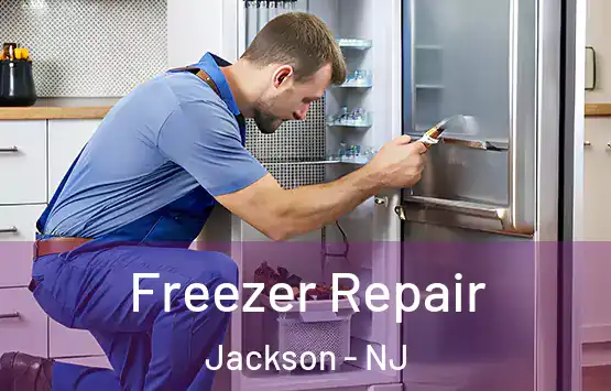  Freezer Repair Jackson - NJ