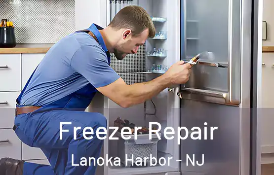  Freezer Repair Lanoka Harbor - NJ