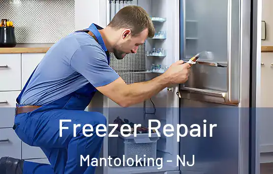  Freezer Repair Mantoloking - NJ