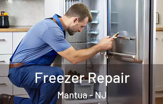  Freezer Repair Mantua - NJ