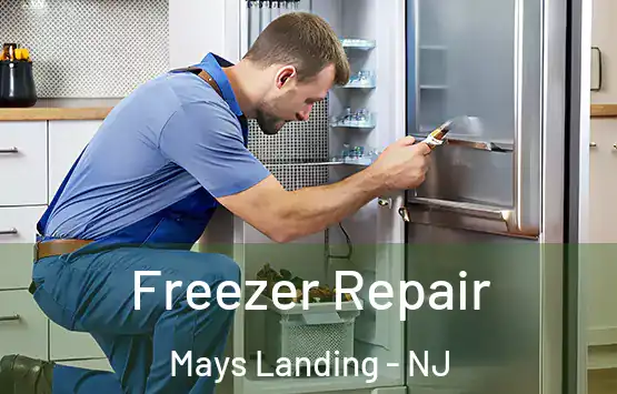  Freezer Repair Mays Landing - NJ