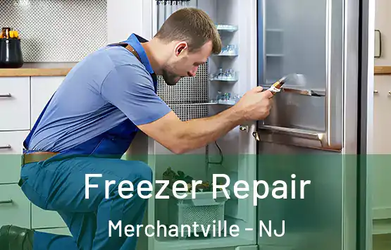  Freezer Repair Merchantville - NJ