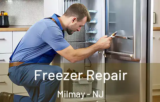  Freezer Repair Milmay - NJ