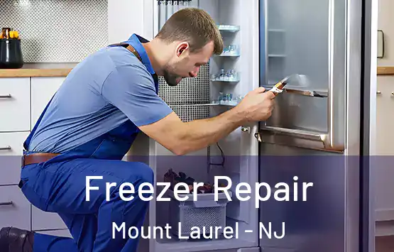  Freezer Repair Mount Laurel - NJ
