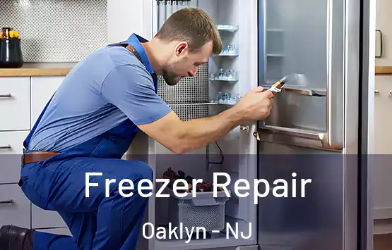  Freezer Repair Oaklyn - NJ