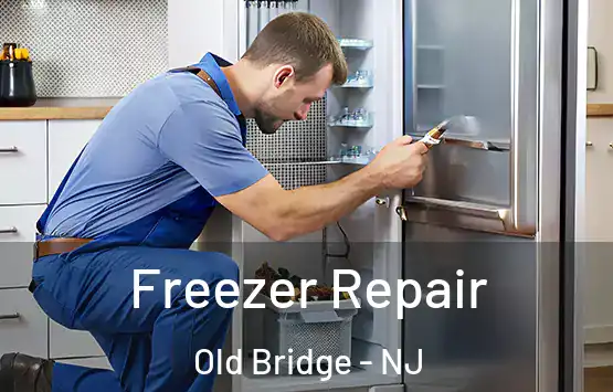  Freezer Repair Old Bridge - NJ