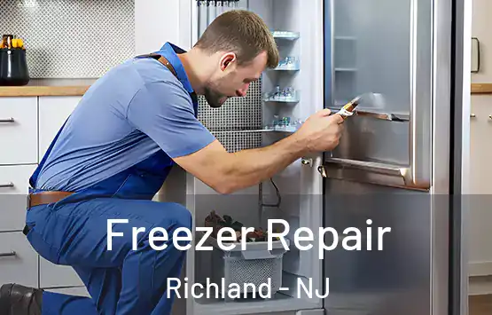  Freezer Repair Richland - NJ