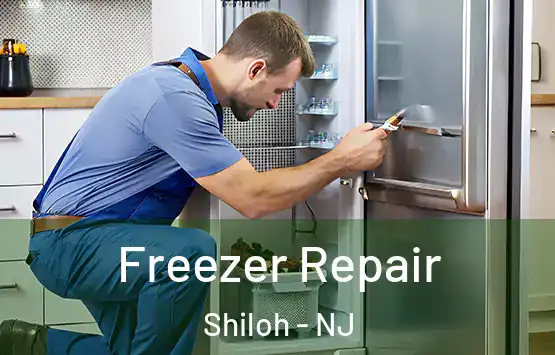  Freezer Repair Shiloh - NJ