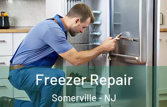  Freezer Repair Somerville - NJ