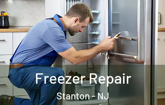  Freezer Repair Stanton - NJ
