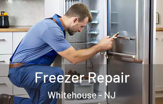  Freezer Repair Whitehouse - NJ