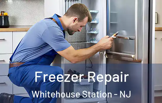  Freezer Repair Whitehouse Station - NJ