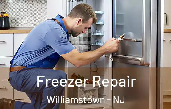  Freezer Repair Williamstown - NJ