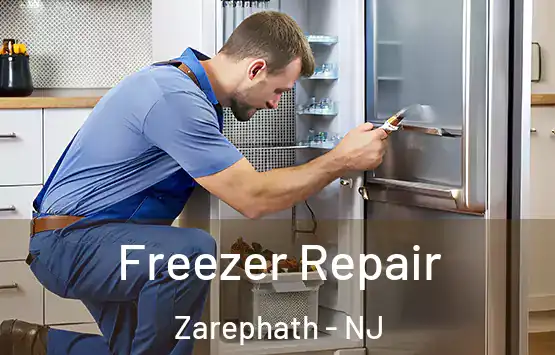  Freezer Repair Zarephath - NJ