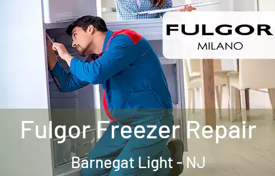  Fulgor Freezer Repair Barnegat Light - NJ