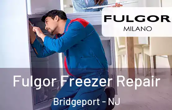  Fulgor Freezer Repair Bridgeport - NJ