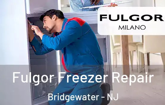  Fulgor Freezer Repair Bridgewater - NJ