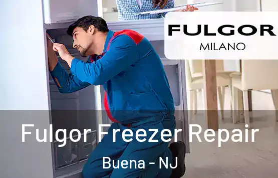 Fulgor Freezer Repair Buena - NJ