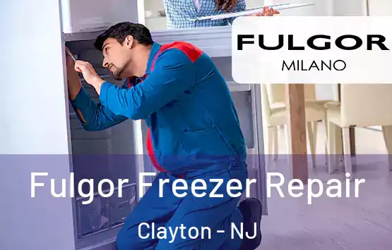  Fulgor Freezer Repair Clayton - NJ