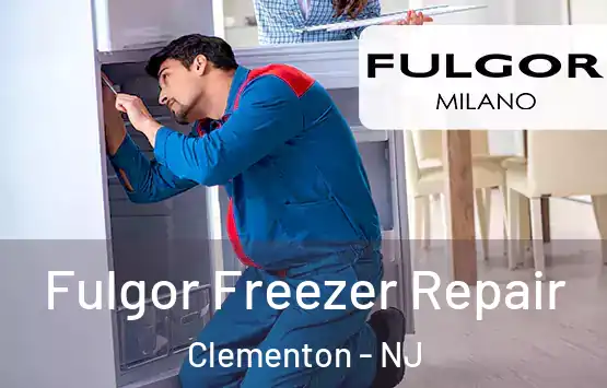  Fulgor Freezer Repair Clementon - NJ