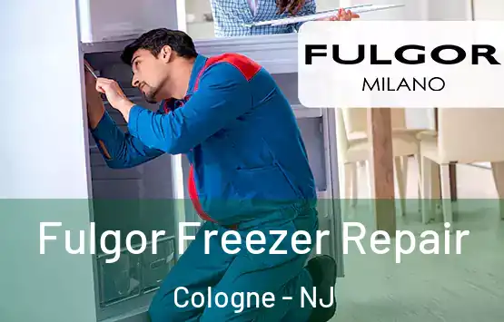  Fulgor Freezer Repair Cologne - NJ