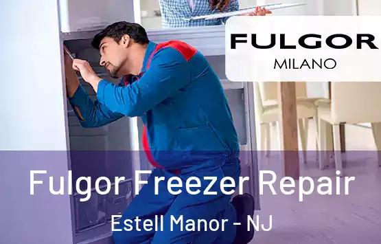  Fulgor Freezer Repair Estell Manor - NJ