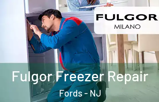  Fulgor Freezer Repair Fords - NJ