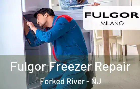  Fulgor Freezer Repair Forked River - NJ