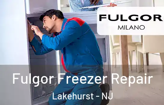  Fulgor Freezer Repair Lakehurst - NJ