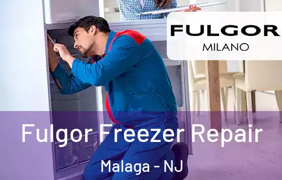  Fulgor Freezer Repair Malaga - NJ