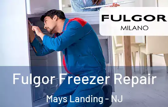  Fulgor Freezer Repair Mays Landing - NJ